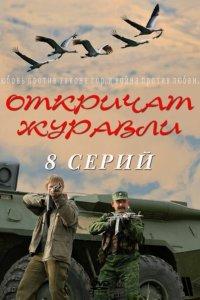 Откричат журавли 1 сезон