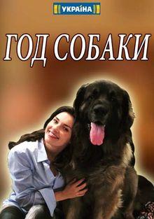Год собаки 1 сезон