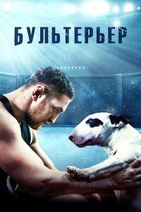 Бультерьер (фильм 2022)
