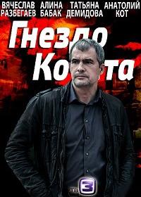 Гнездо Кочета (фильм 2013)